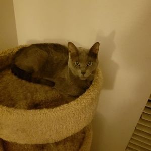 Meet your Posher, Donna